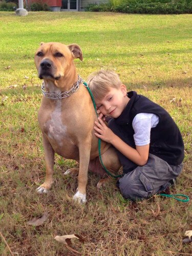 Boy Hugging Dog