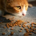 pet poisoning