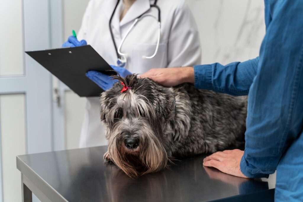 pet diagnostic tests