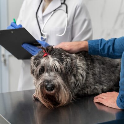 pet diagnostic tests