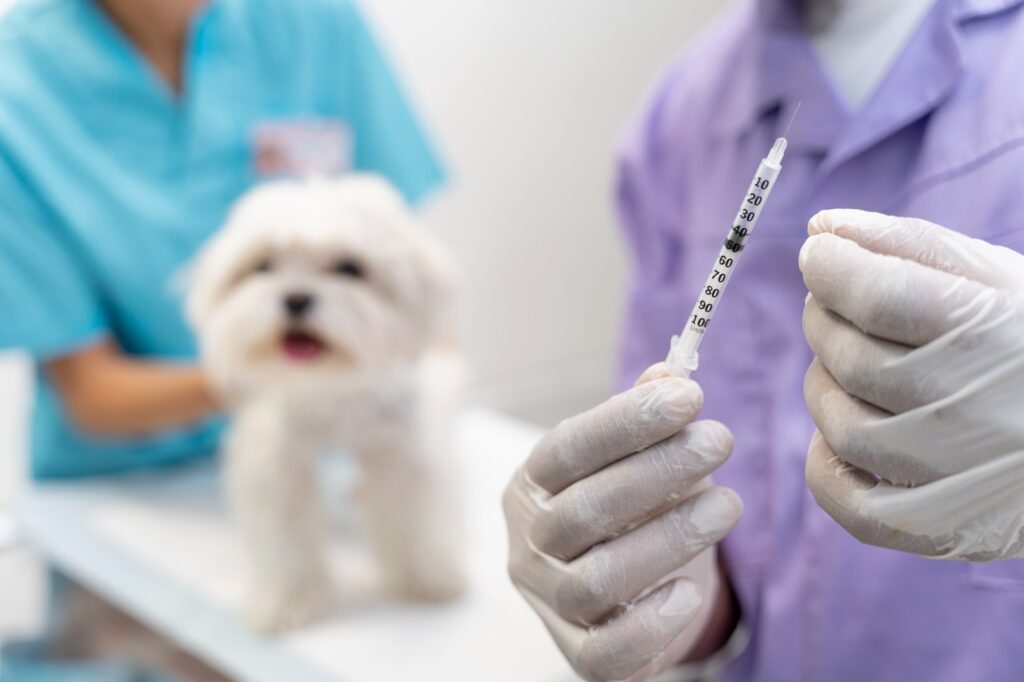 heartworm prevention injection for dogs