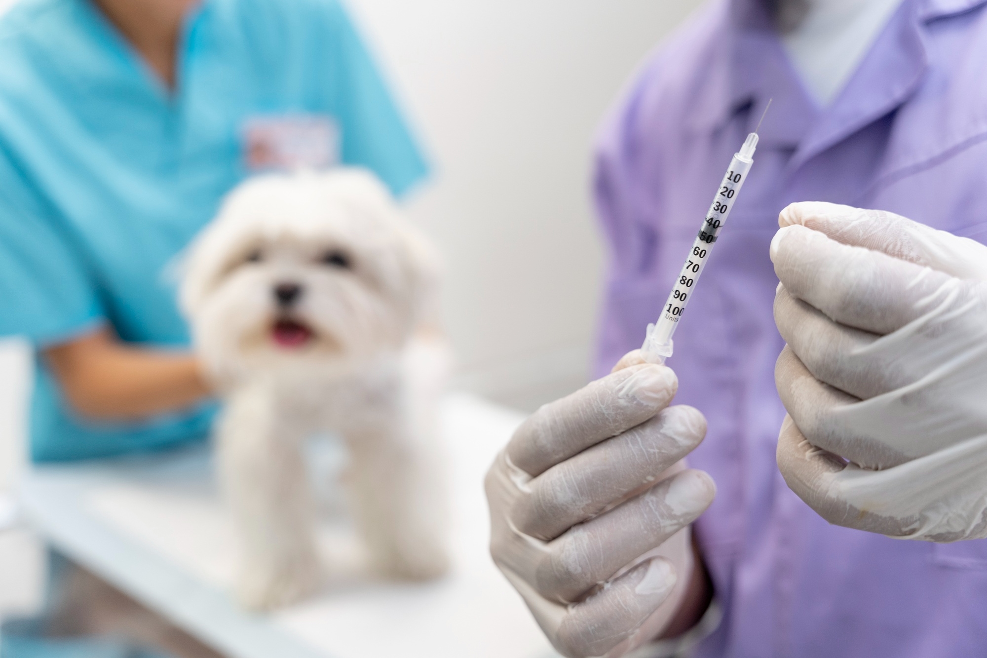heartworm prevention injection for dogs
