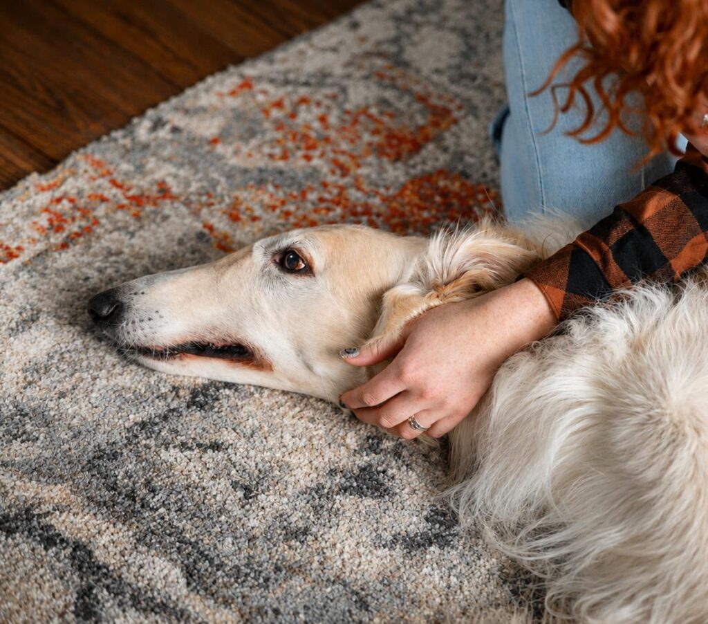 change in dogs behavior