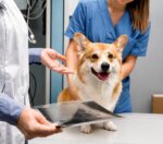 pet scan for cardiology