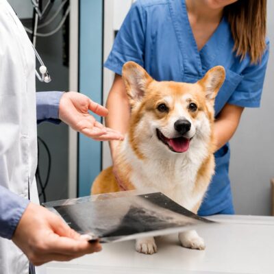 pet scan for cardiology
