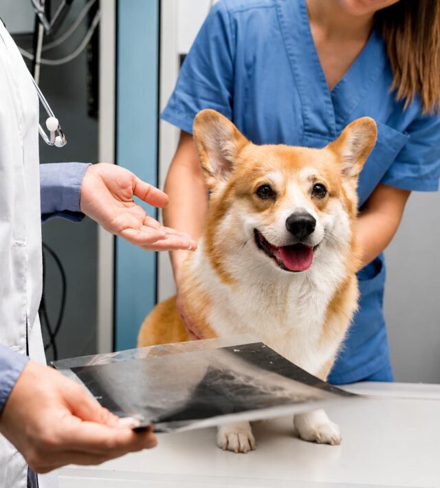 pet scan for cardiology